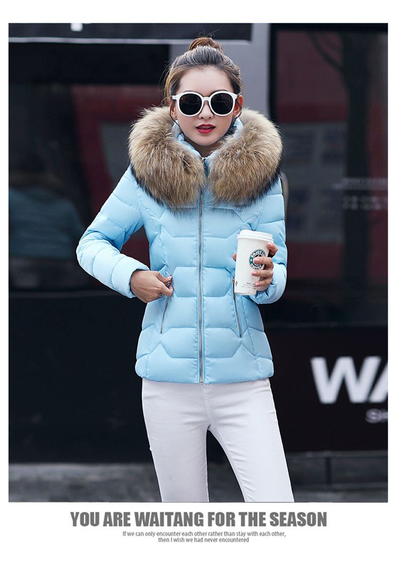 Damenbekleidung Neue Daunen-Baumwolljacke Damen Kurzer Herbst- und Winter-Baumwollmantel Damen Großer Pelzkragen Baumwolljacke_voghion.com
