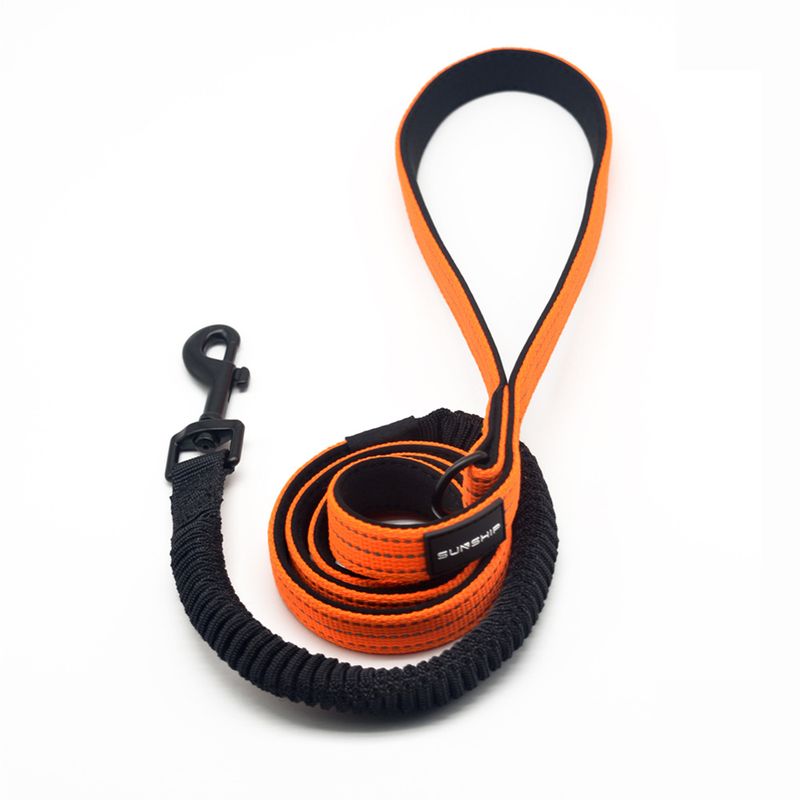 Pet Polyester Retractable Explosion-proof Dog Leash 2021 New Portable_voghion.com