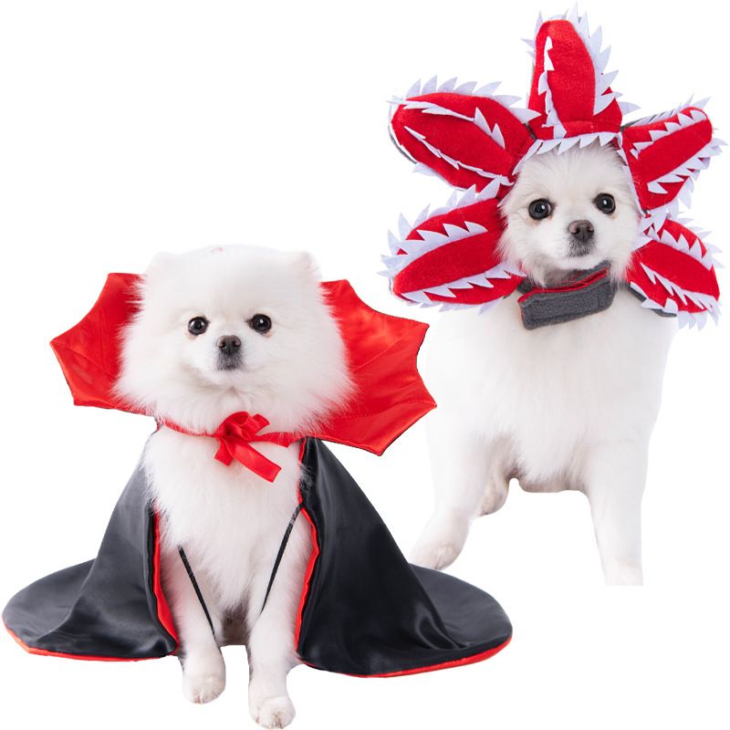 Halloween-Hundekleidung für kleine Hunde, lustiges und skurriles Transformations-Outfit, Teddy-Katze, kreative Haustierbekleidung_voghion.com