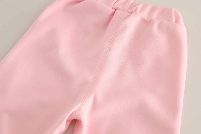 2025 Set di due pezzi con cappuccio per bambine, stile casa, abbigliamento primaverile e autunnale per bambine, novità invernale per bambine_voghion.com