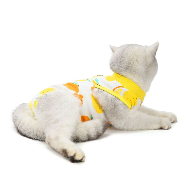 Neutering Postpartum Clothes Spring Summer New Cat Surgery Anti-Lick Weaning Suit_voghion.com