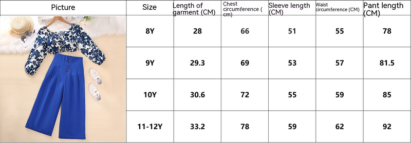 Barns 2024 nya blommiga veckade byxor med vida ben i två delar för flickor vårkläder_voghion.com