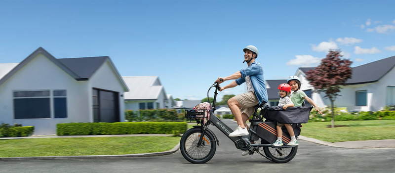 ENGWE LE20 Step-Thru Cargo Ebike 250W Senzor de cuplu Mid-drive Bicicletă electrică 20'' cu baterie dublă 48V 38.4Ah _voghion.com