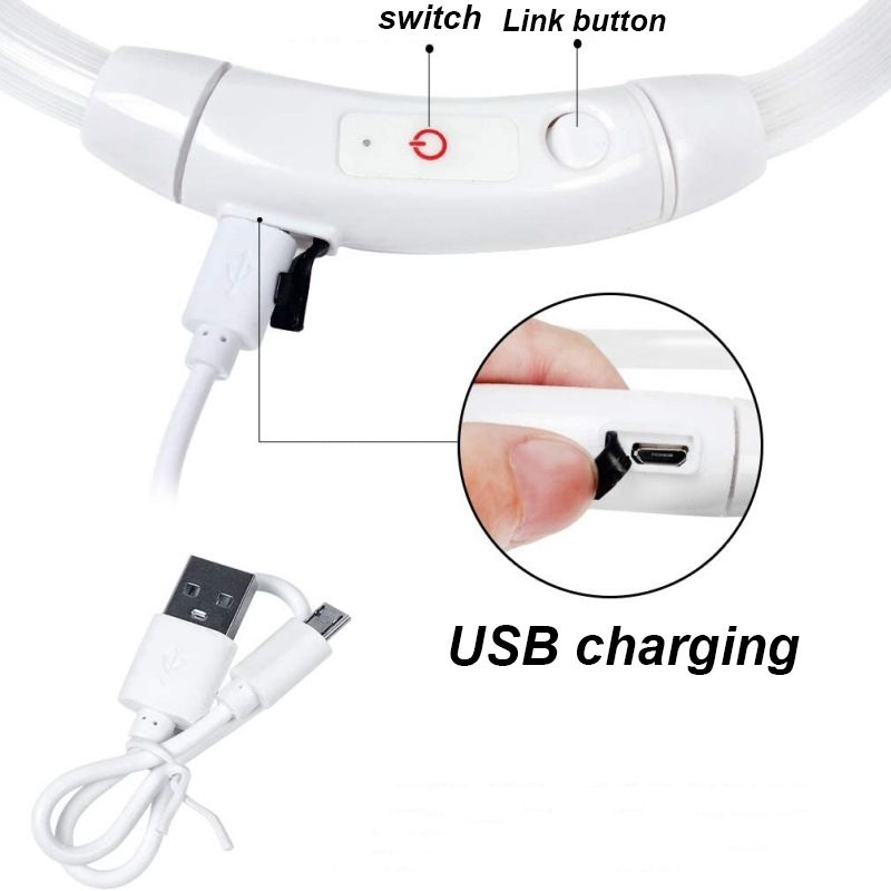 Rechargeable Glowing Collars, USB Dog Collar, Nighttime 3-Mode LED Light, Glowing, Preventing Loss By PawParty Store_voghion.com