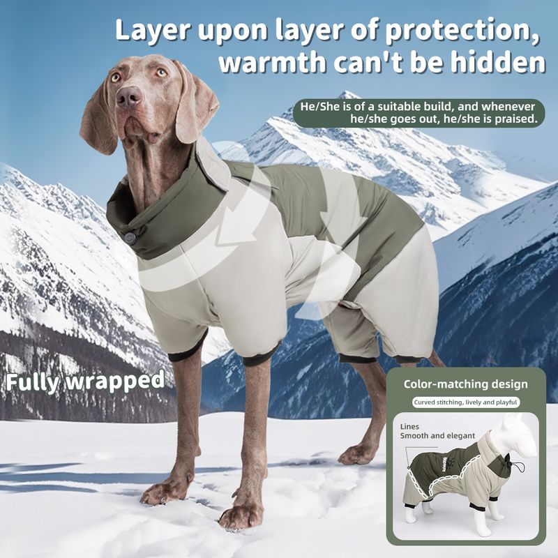 Wasserdichte, warme Winterkleidung für große Hunde, isolierte Hundejacke, Labradormantel, Golden Retriever-Kostüm, Haustier von PawParty Store_voghion.com