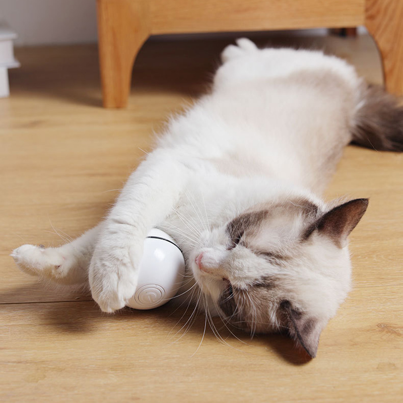 Guangying elektrische USB-oplaadbare interactieve kattenbal met rollend LED-licht_voghion.com