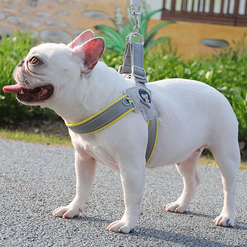 Guangying hundebryststropp Reflekterende kjæledyrsele Pustende Komfortabel Justerbar kjæledyrbrystsele Kjæledyrsutstyr_voghion.com