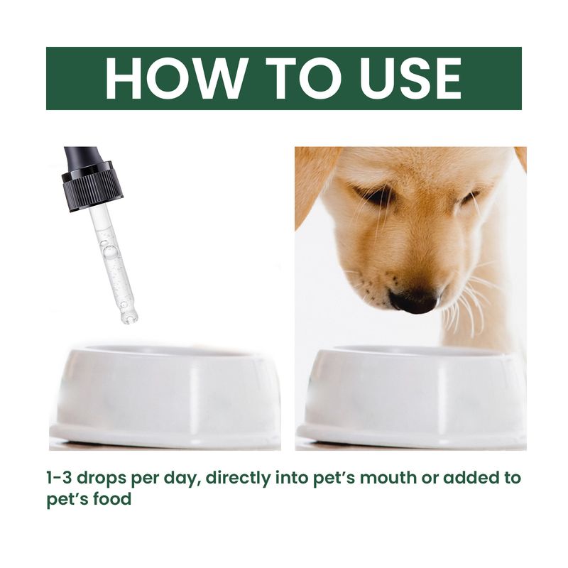 Gezamenlijke reparatiedruppels voor huisdieren, verlichting van gewrichtspijn voor honden en katten_voghion.com