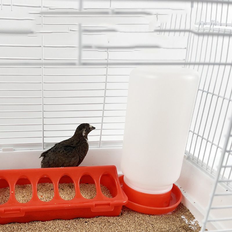 Comedero y bebedero espesado para aves de corral, dispensador automático de agua y alimento, bebedero para pollos y pollitos, contenedor de cubo de alimentación_voghion.com