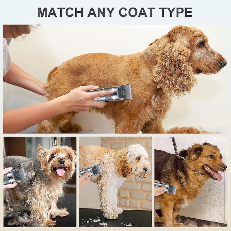 Tosatrici per peli di cane Tosatrici elettriche per cani e gatti Kit per la toelettatura (animali domestici/gatti/cani/conigli) Set di strumenti per il taglio dei capelli Ricaricabile_voghion.com