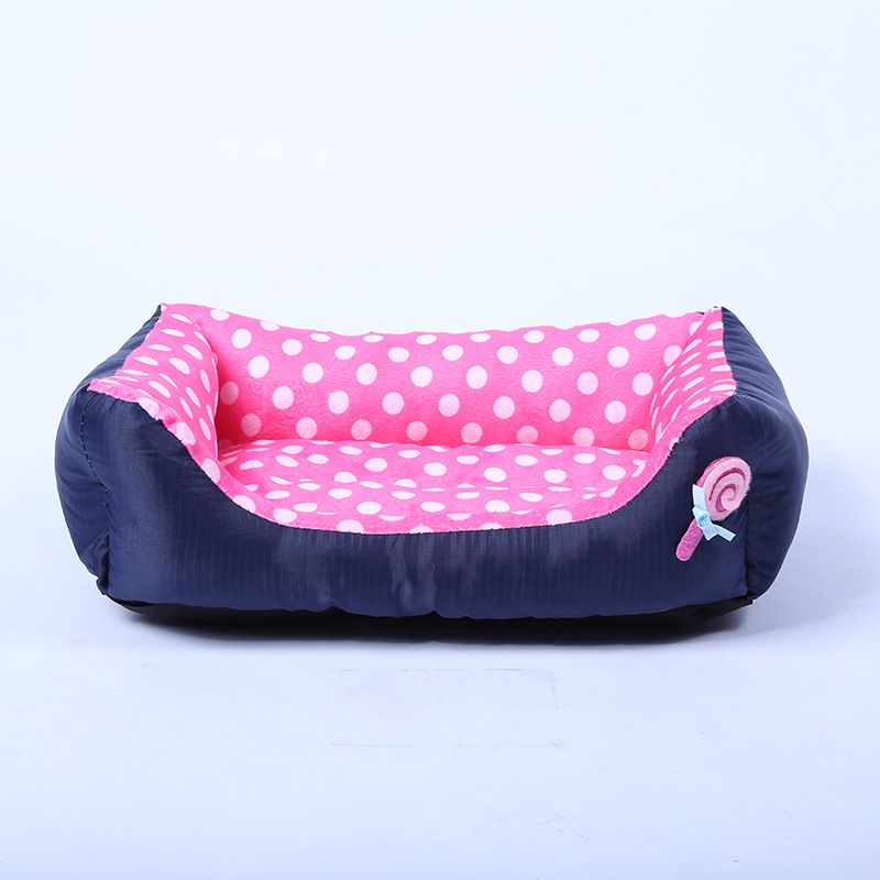Neu Cartoon Candy Farbe Platz Liefert Teddy Pommerschen Kleine Und Mittlere Hund Nest_voghion.com