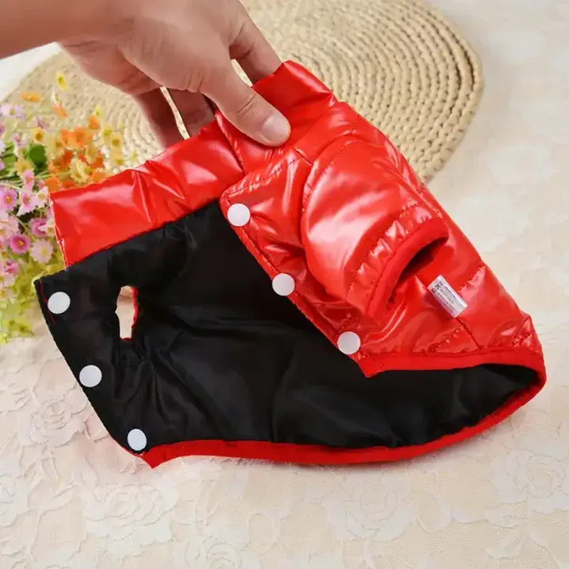 Winter Insulated Clothing Puppies, Bright Cotton Jacket Dogs With Fur, Waterproof Coat Pets, Small Dog Costume, By PawParty Store_voghion.com