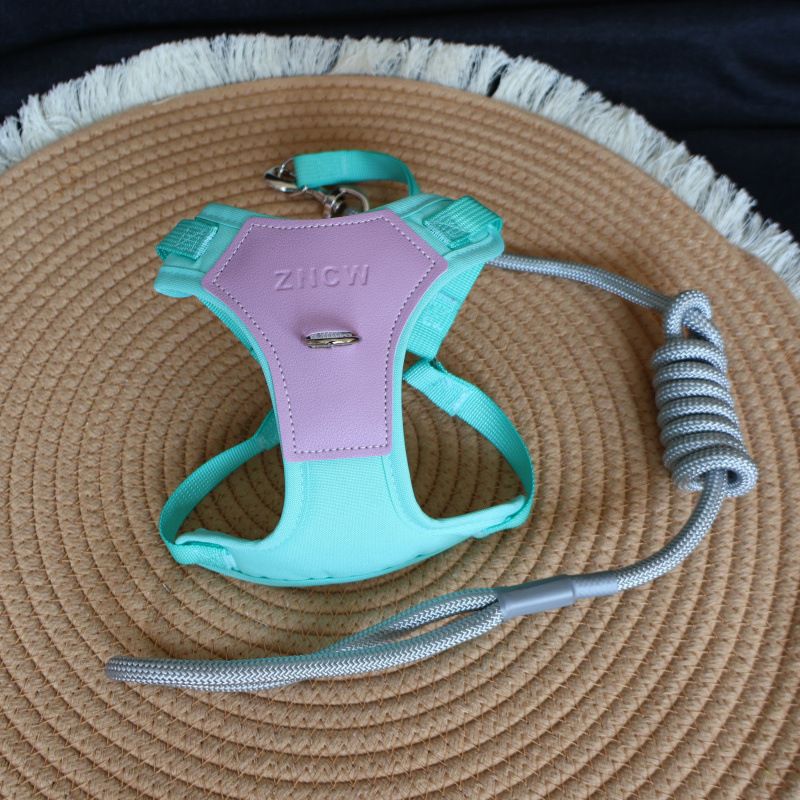 Guinzaglio antisporco per cani da compagnia, regolabile, per passeggiate, taglia media e piccola, traspirante, in corda, per esterni_voghion.com