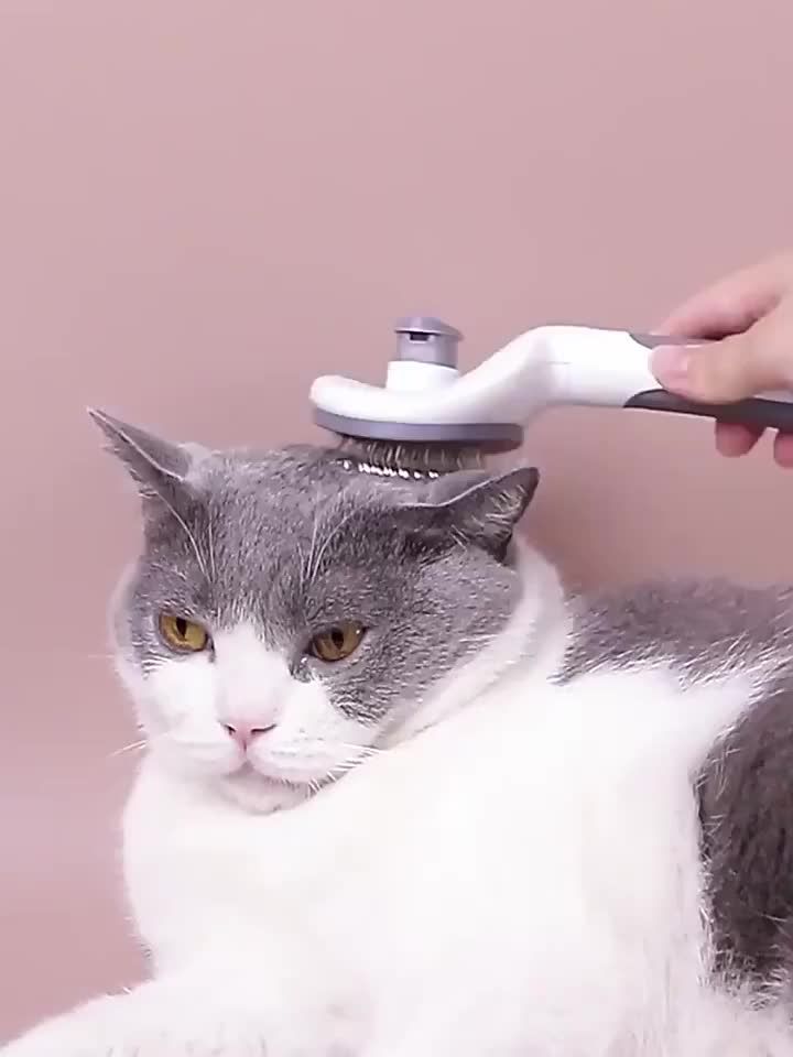 Self-Cleaning Brush For Dogs And Cats By PawParty Store_voghion.com