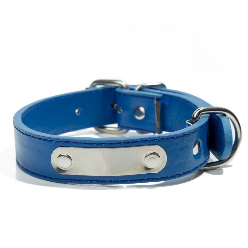 Collare per cani con targhetta identificativa anti-smarrimento per animali domestici in acciaio inossidabile e ferro inciso_voghion.com