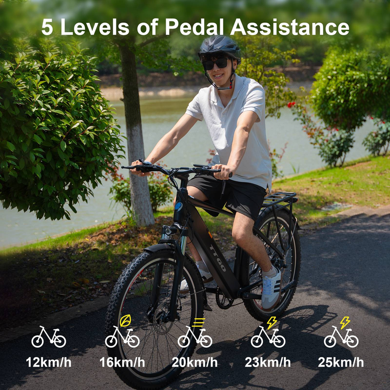 VTT électrique TTGO M300 27,5 pouces, moteur 250 W, autonomie 120 km, capteur de couple, assistance au pédalage, Shimano 7 vitesses, freins à disque mécaniques, pour l'extérieur_voghion.com