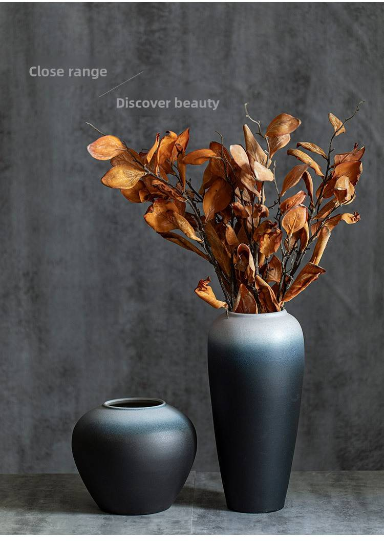 Vase élégant en céramique noir et blanc – Décoration hydroponique pour salon, bureau et chambre_voghion.com
