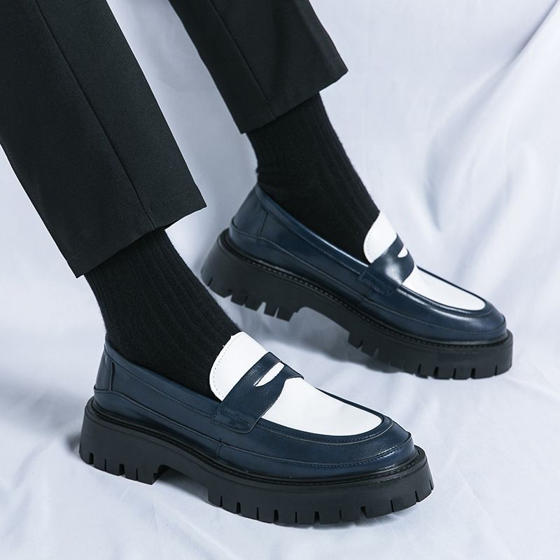 Suitable For All Seasons Four Seasons New Low-top Thick-soled Height-increasing Leather Korean Style Color-blocking Tassel Casual Fashion Youth_voghion.com