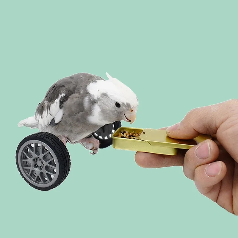Creative Parrot Balance Toy Interactive Birds Toy Mini Intelligence Training Toy Pet Toy For Small Medium Birds Pet Supplies_voghion.com