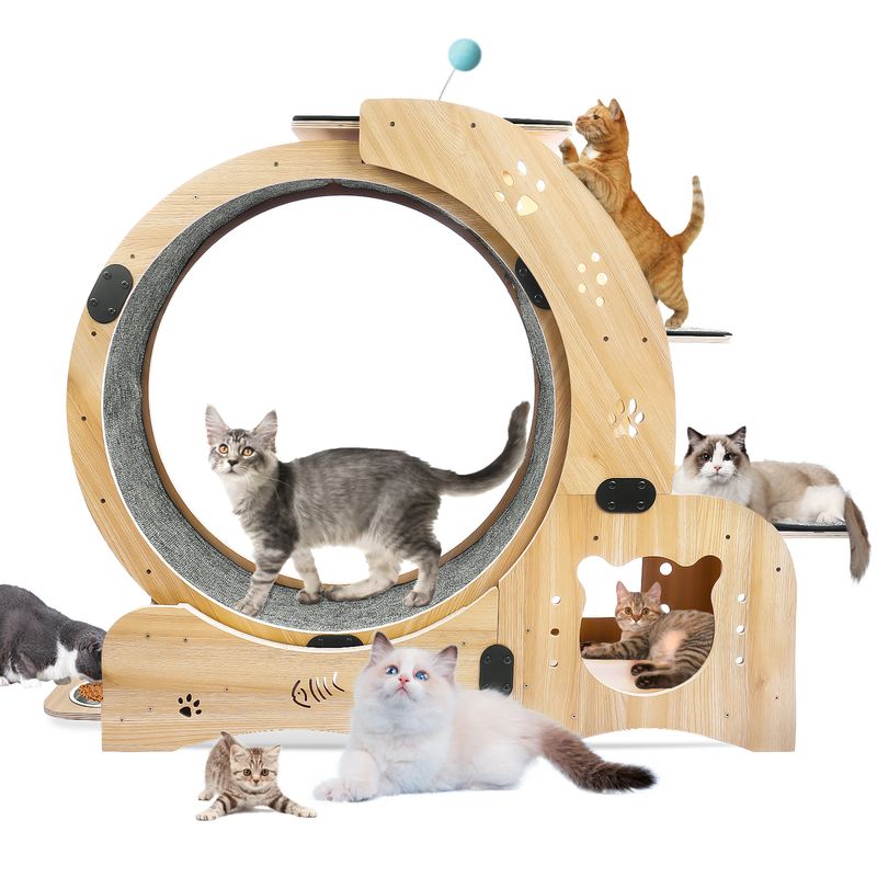 Cat Wheel 6-in-1 Cat Exercise Wheel,Upgraded Cat Wheel Exerciser for Indoor Cats,Large Cat Treadmill,Cat Running Wheel with Silent Wheel,Cat Walking W_voghion.com