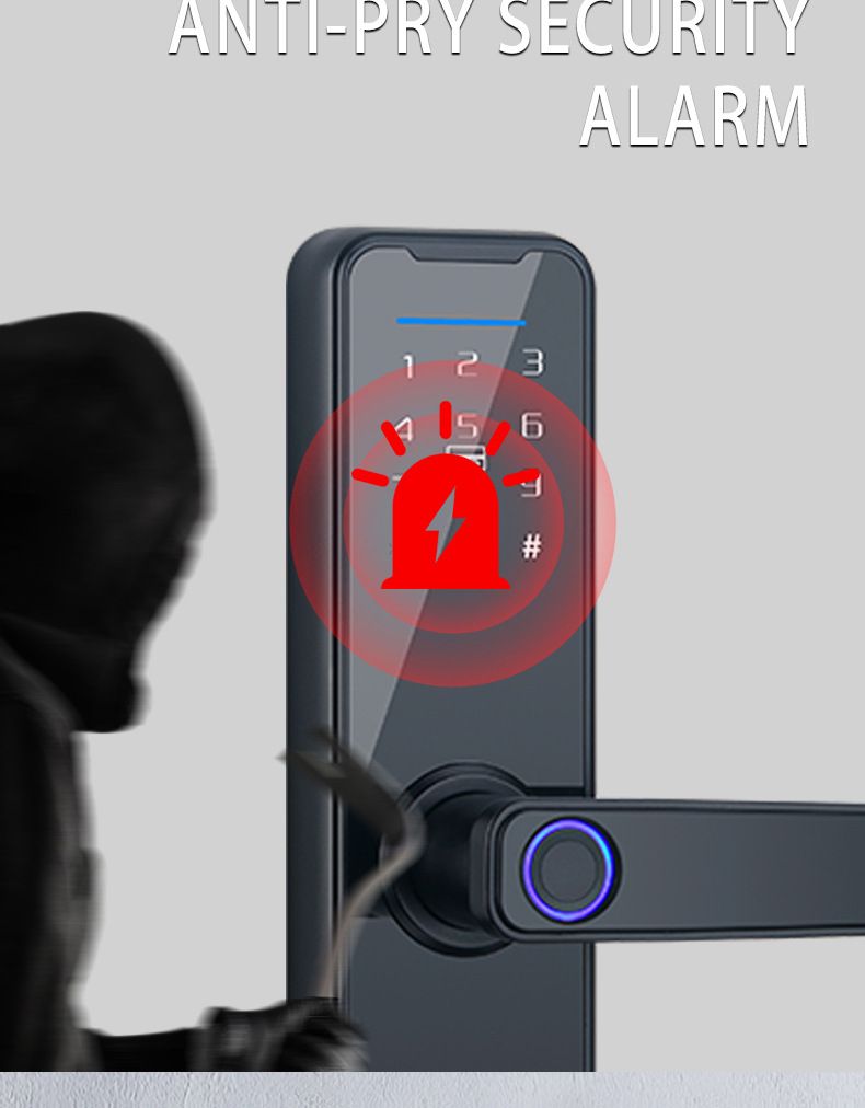 Advanced Graffiti Wooden Door Intelligent Fingerprint Lock Apartment Interior Door Intelligent Office Password Lock_voghion.com