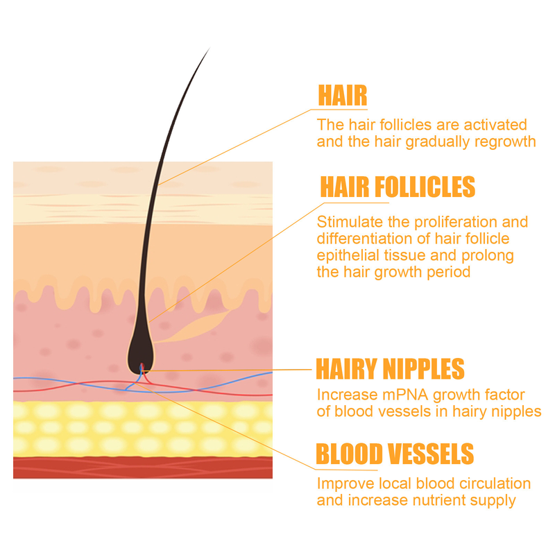 EELHOE Shampoo nutriente forte per le radici allo zenzero, ripara la caduta dei capelli e fissa lo shampoo_voghion.com