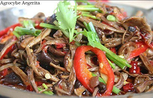 2 Pound (908 Grams)Grade A Delicious Mushroom Agrocybe Aegerita Dried_voghion.com