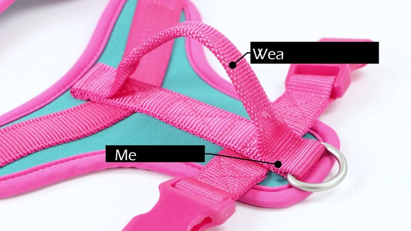 HENSHINE DOG GEAR Pettorina per cani color cioccolato_voghion.com