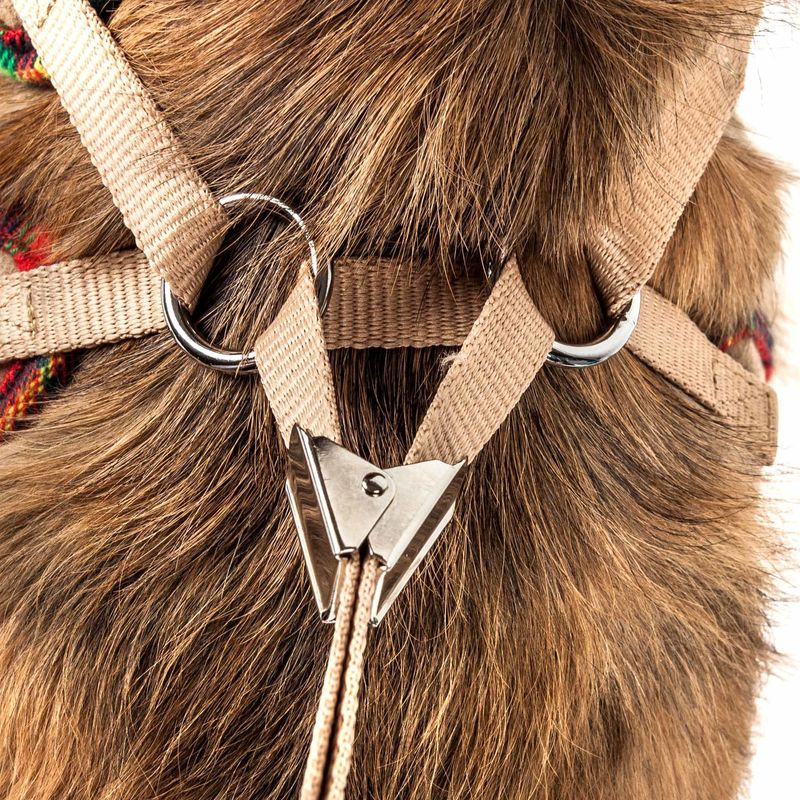 Pet Life Luxe 'Dapperbone' 2-In-1 Mesh Reversed Adjustable Dog Harness-Leash W/ Fashion Bowtie_voghion.com
