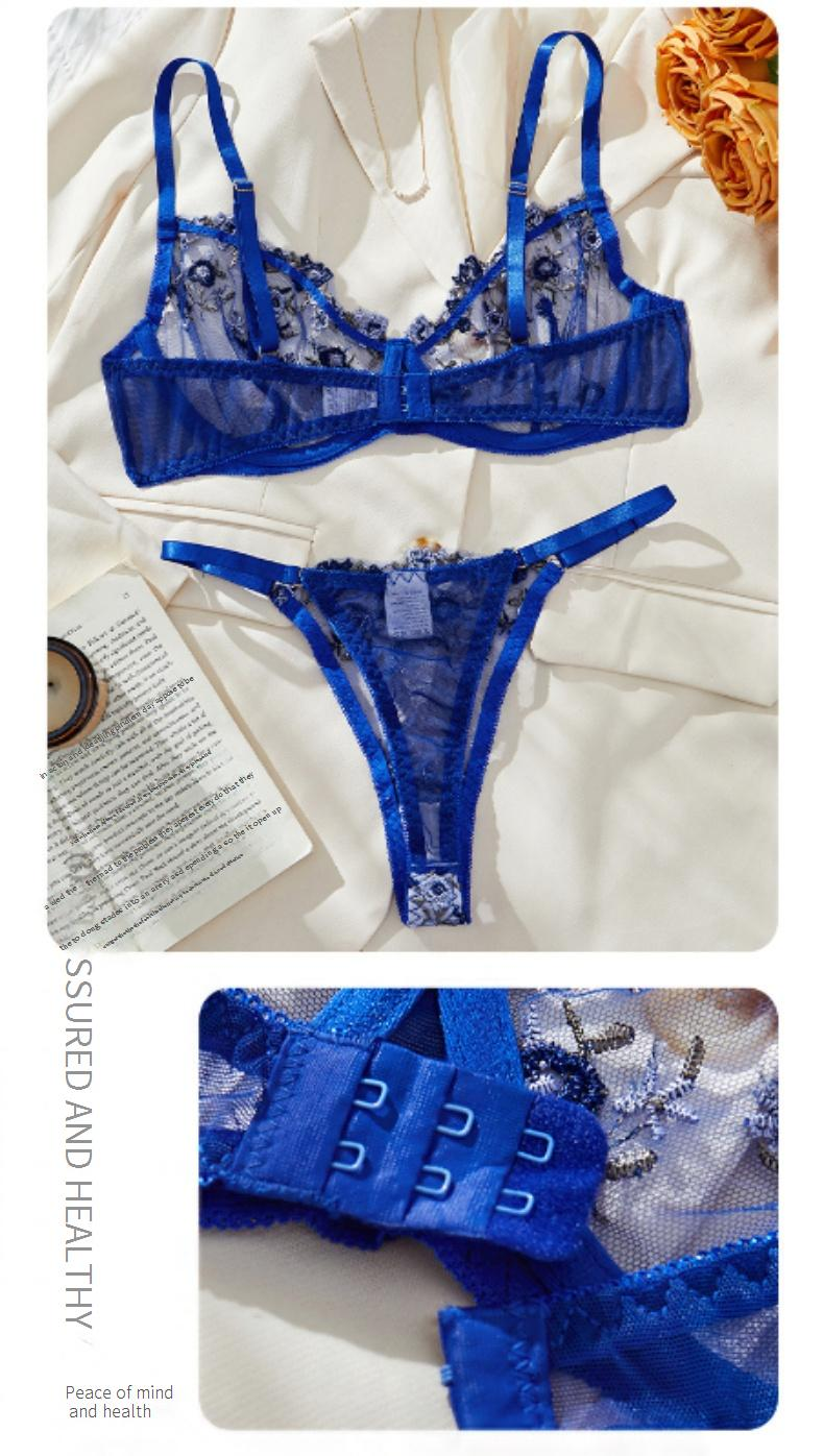 Women's Intimates Perspective Embroidery Blue Bra Underwear Women's Pure Desire Style Mesh Temptation Underwear Set_voghion.com