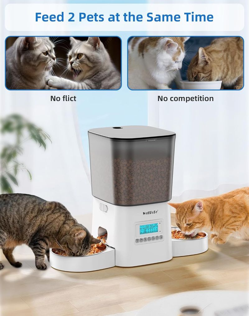 Welltobe Automatic Cat Feeder For 2 Cats, Timed Cat Food Dispenser With Desiccan_voghion.com