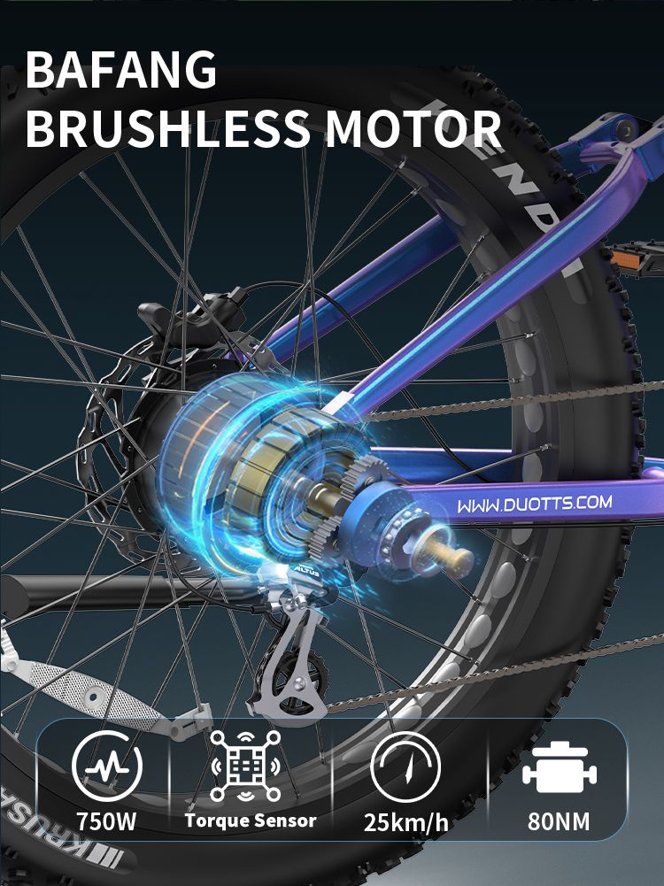 DUOTTS E26 2025 Elektro-Mountainbike | 750-W-Motor | 120 km Reichweite | 48-V-20-Ah-Samsung-Akku | Geländereifen | Hydraulische Bremsen & Schutzart IP65_voghion.com