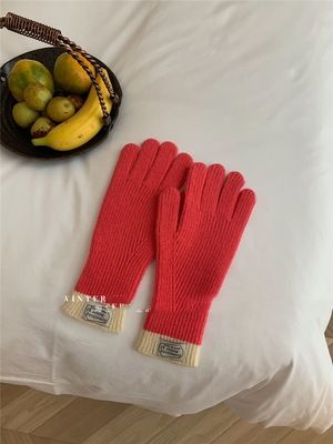 2023 neue koreanische Art gestrickte fingerlose Winterhandschuhe für Frauen Warm Radfahren Kälteschutz Lange Touchscreen Handyhandschuhe_voghion.com