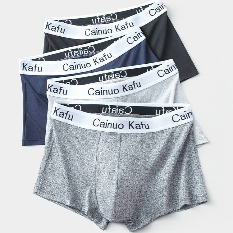 Sous-vêtements pour jeunes hommes, pantalons plats à taille moyenne pour hommes, styles pour hommes, sous-vêtements antibactériens et respirants à quatre coins_voghion.com