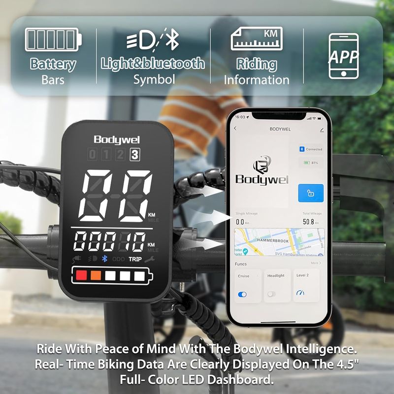 Bodywel T16 Pro 14″ Mini-Klapp-Elektrofahrrad, 250-W-Motor, 36-V-7,8-Ah-Akku, App-Unterstützung_voghion.com