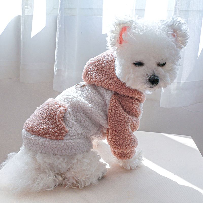 Pet Clothes Autumn and Winter New Warm Fleece Korean Style Sweater Warm Color Cold-resistant Lamb Fleece Traction Sweater_voghion.com