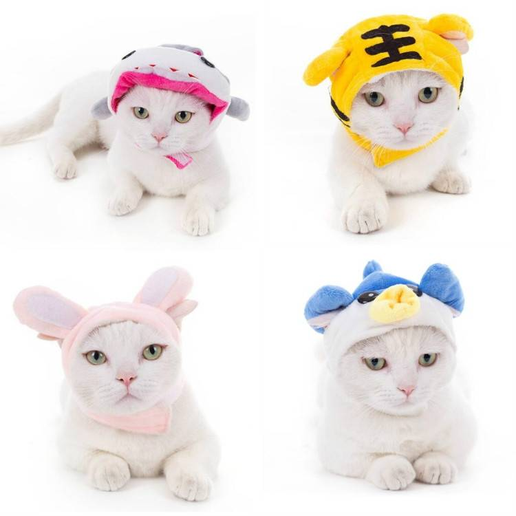 Zachte kattenhoofddeksel, kat, hond, kruisjurk, huisdierhoed_voghion.com