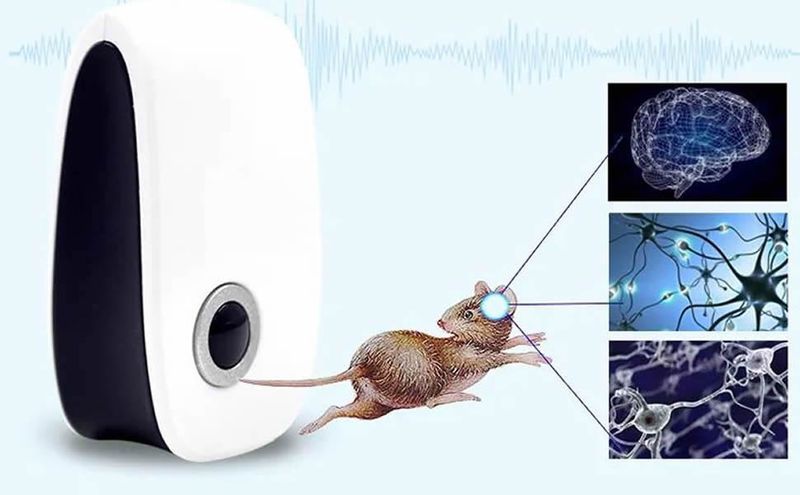 Multi Pest Ultraschall - Nagetier-/Ameisen-/Kakerlaken-Abwehrmittel_voghion.com