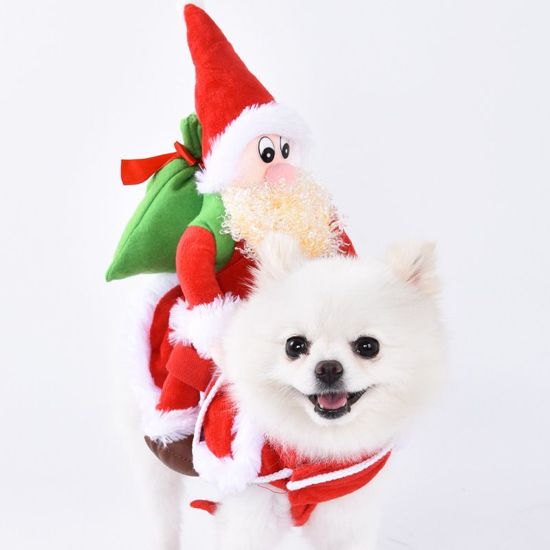 Halloween-Hundekleidung für kleine Hunde, lustiges und skurriles Transformations-Outfit, Teddy-Katze, kreative Haustierbekleidung_voghion.com