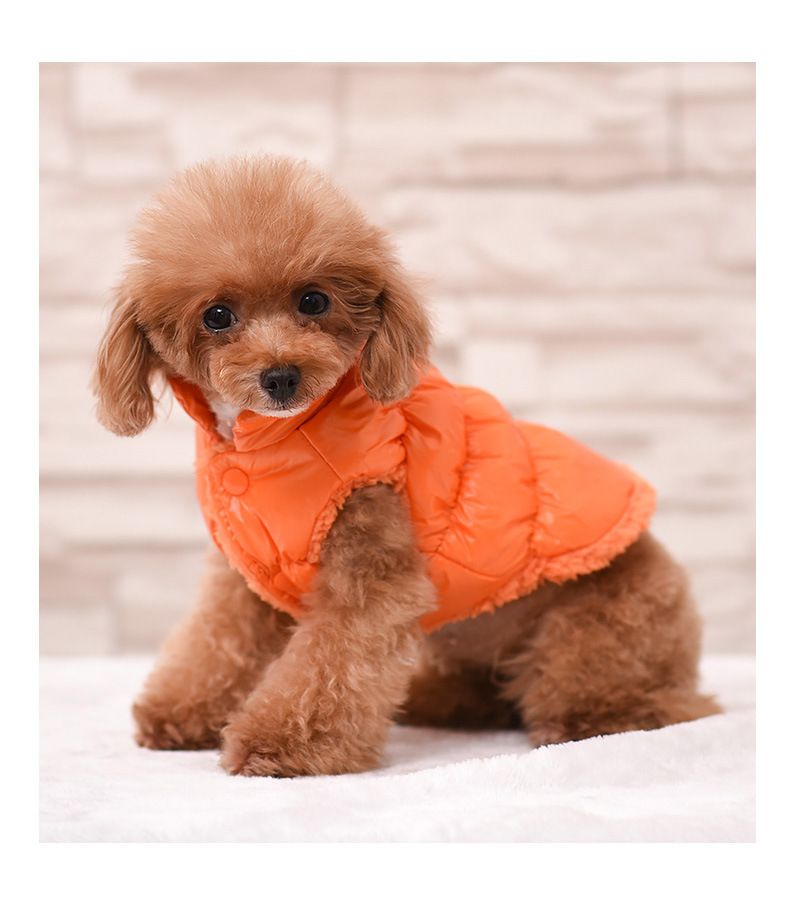 Warme Teddy-Haustierweste, verdickte Katzen-Herbst- und Winter-Hundekleidung_voghion.com