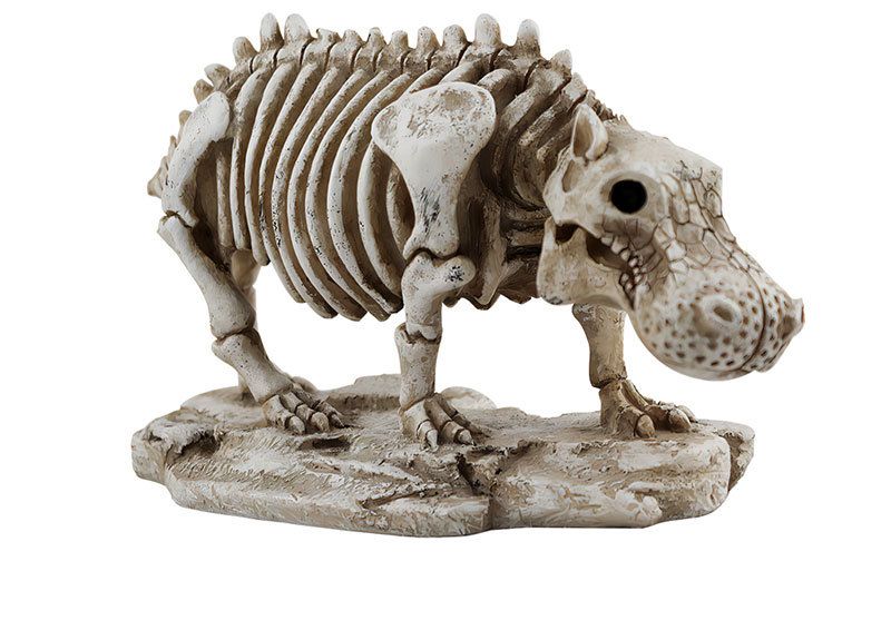 Unique Skull Animal Skeleton Specimen Hippo Ornament Halloween Desktop Decoration_voghion.com