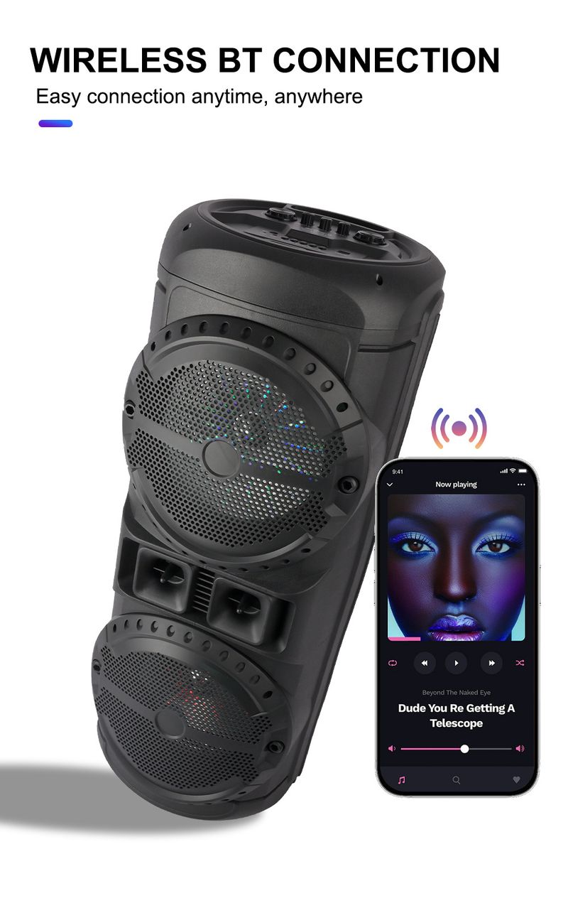 ZQS12201 Kaksois 12-tuumainen basso ulkokäyttöön tarkoitettu Bluetooth-kaiutin Kannettava tehokas subwoofer_voghion.com