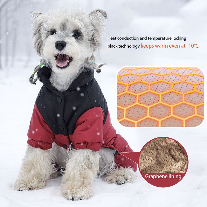Giacca invernale calda in poliestere per cani di PawParty Store_voghion.com