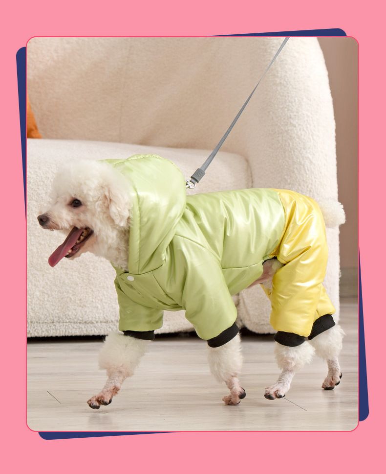 Ropa para mascotas Abrigo acolchado impermeable y resistente al viento para perros Ropa cálida para perros Abrigo acolchado de cuatro patas para mascotas_voghion.com