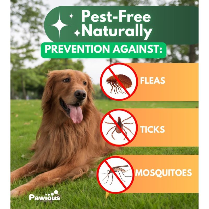 Dogs Natural And Flea Flea Tick For Oral Dogs For Flea Dog Flea Chews Pil Chewables Control Tick And Supplement Tick Prevention_voghion.com