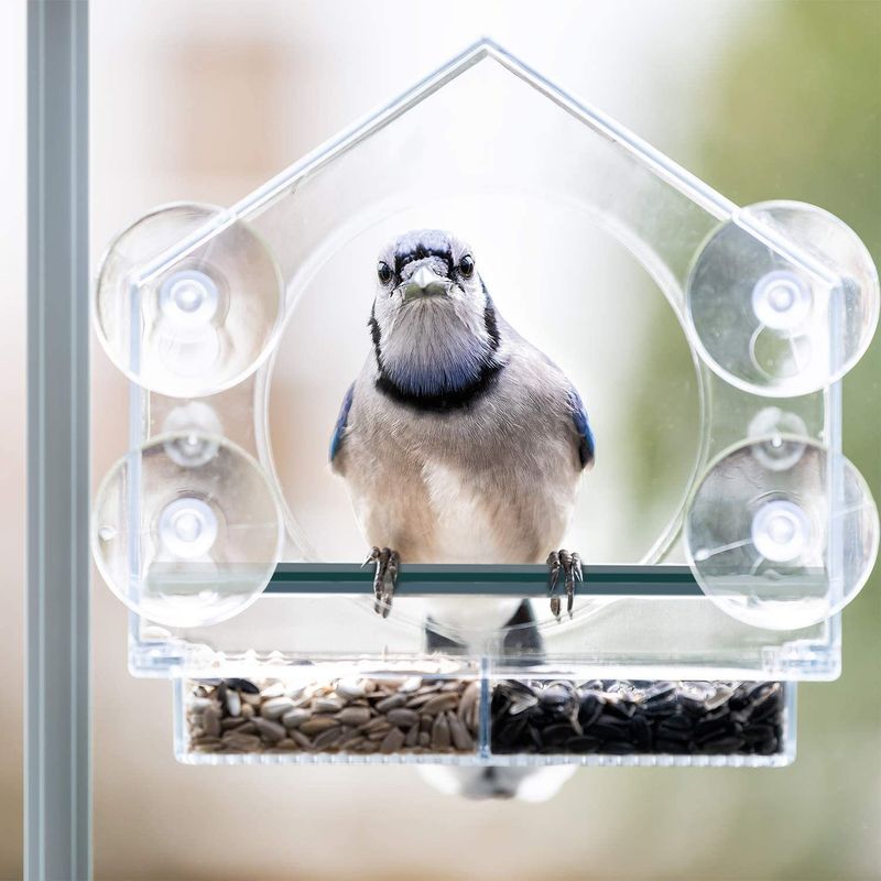 Großer Vogelkäfig aus Acryl-Kunststoff für den Außenbereich, Adsorptions-Vogelfutterspender, Panorama, transparentes organisches Glas, Haustier-Vogelnest_voghion.com