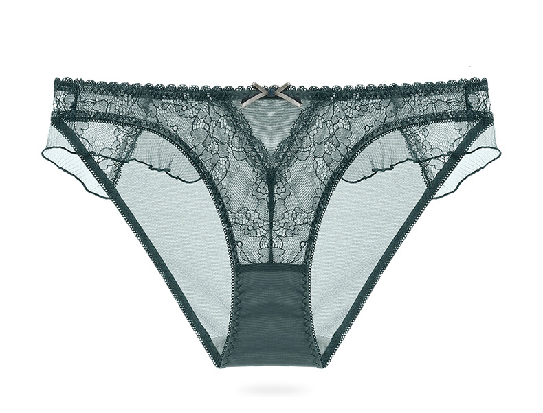 Sexy lace sheer mesh lift hip low waist triangle panties plus size_voghion.com
