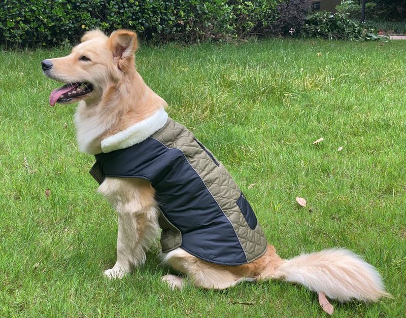 Pocket new pet clothes autumn and winter dog clothes vest cotton coat double sided wearable dog clothes coat clothing_voghion.com