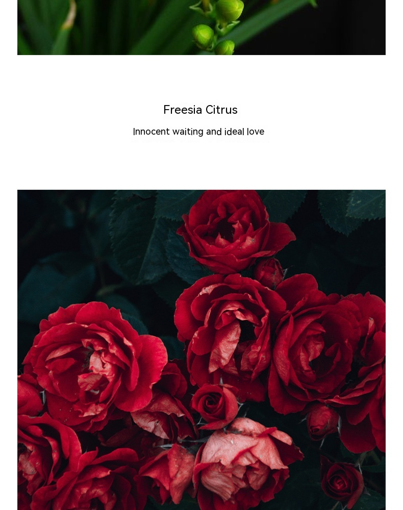 Nuovo profumo popolare Black Beloved 50 ml Eau De Toilette da donna Fragranza di fiori e frutta Profumo con fragranza duratura_voghion.com