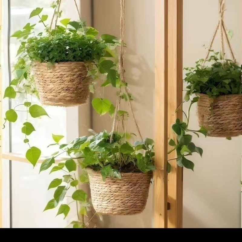 Hanging Plants, Baskets, Hanging Pots_voghion.com
